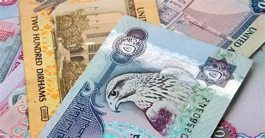 الدرهم الإماراتي