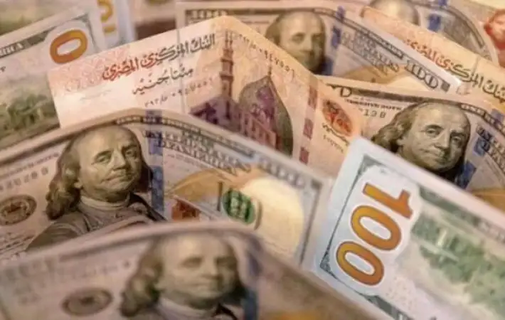 الدولار أمام الجنيه المصري