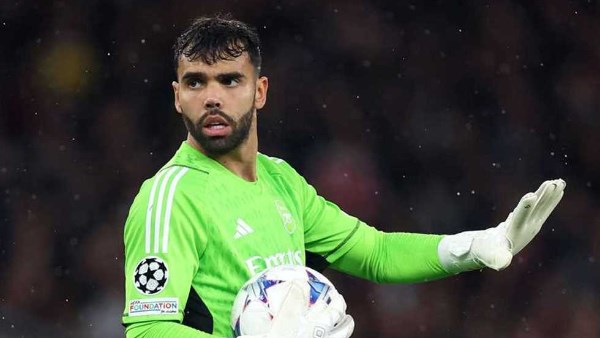 ديفيد رايا ديفيد رايا