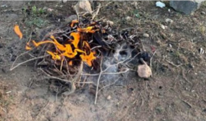 ضبط مواطن خليجي لإشعال النار في محمية الإمام فيصل بن تركي الملكية